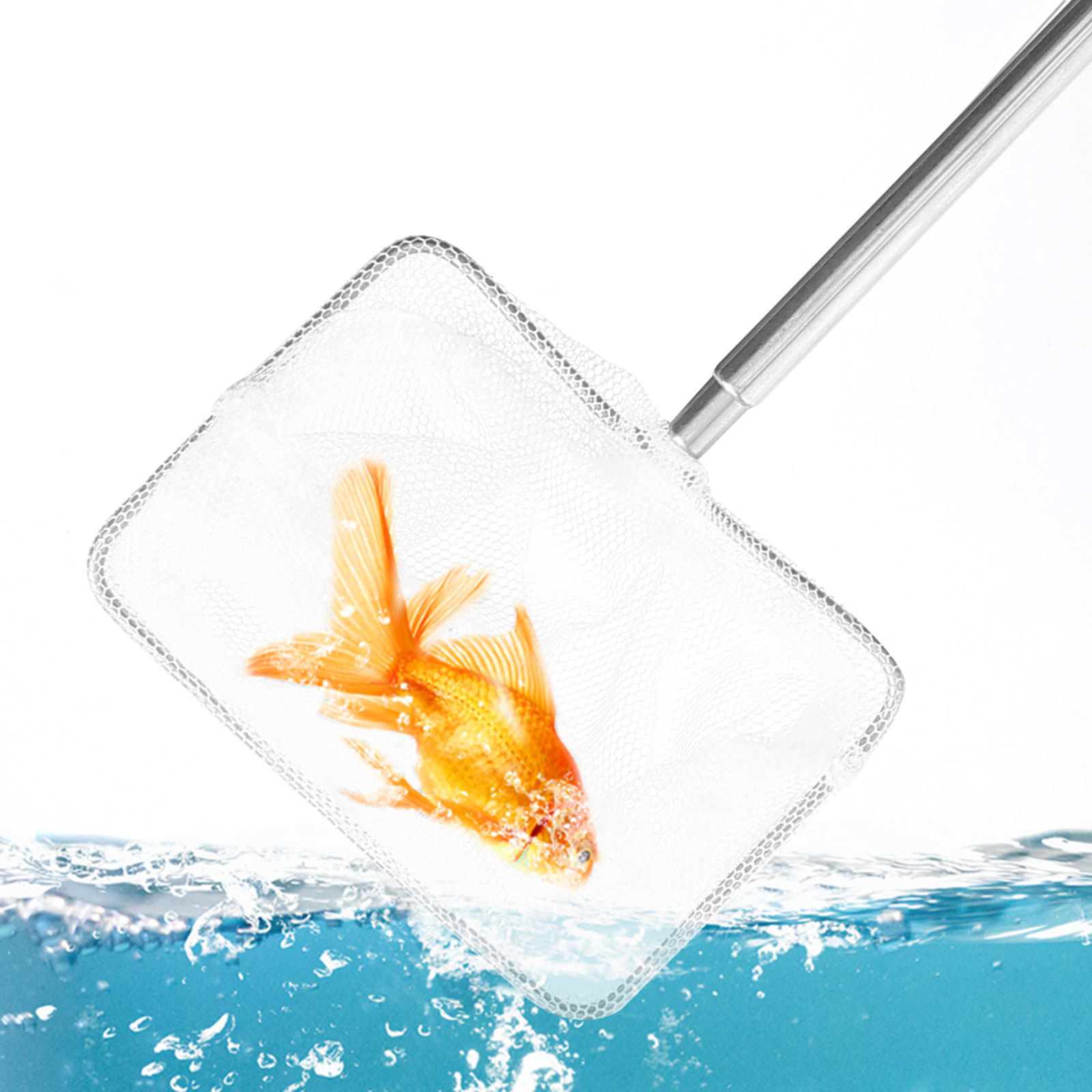 Aquarium Fish Net Small - ステンレス製、小型魚用、伸縮ハンドル付き、エビ取り網、水槽、池、川、湖での釣り用。