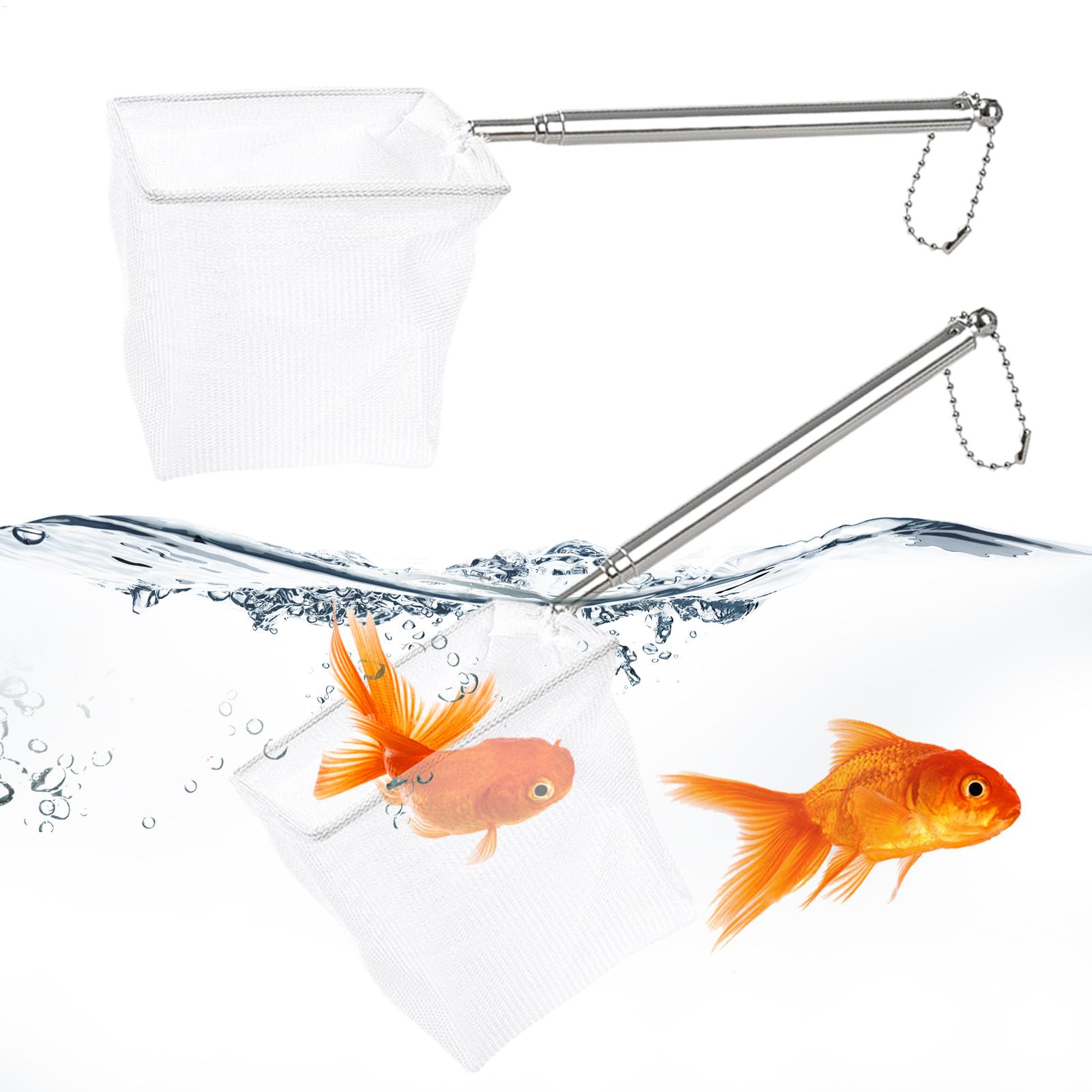 Aquarium Fish Net Small - 2 個の小さな魚網伸縮ハンドルステンレス鋼ランディングディップキャッチメッシュ水族館池湖ボート屋外釣りツールセット