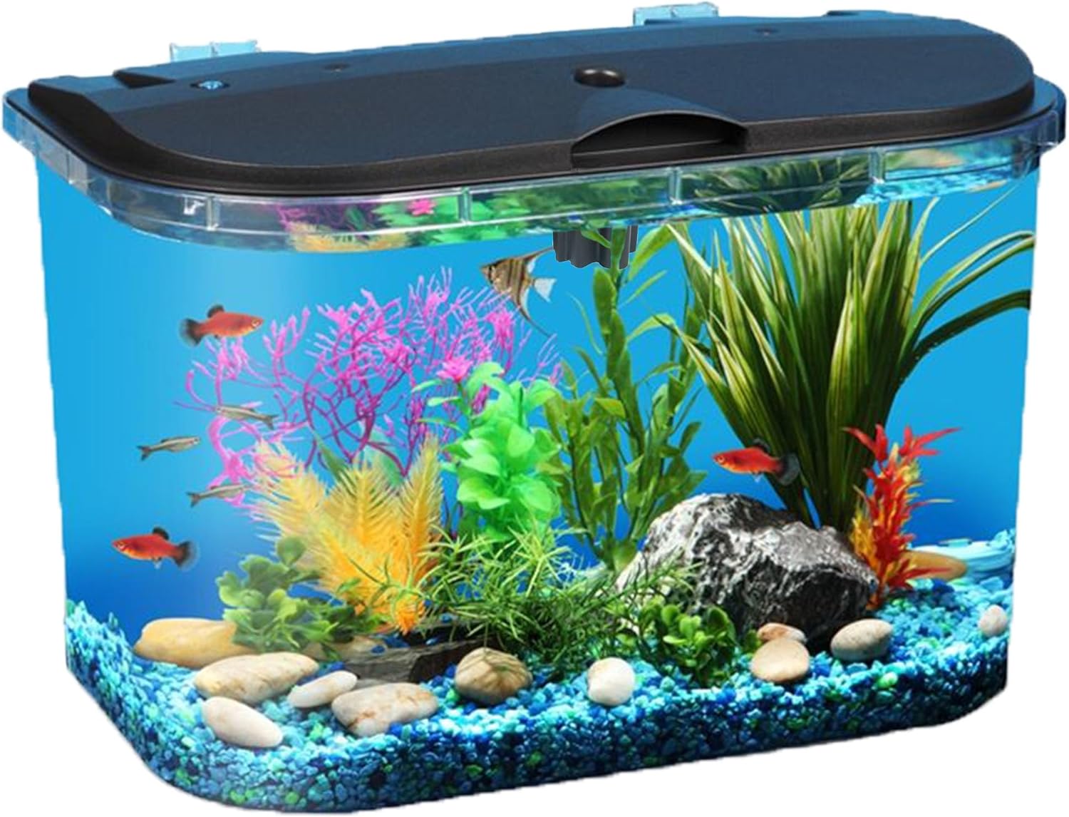 Aquarium Fish Variety - 5ガロン水槽キット（LED照明とパワーフィルター付き）、様々な熱帯魚に最適