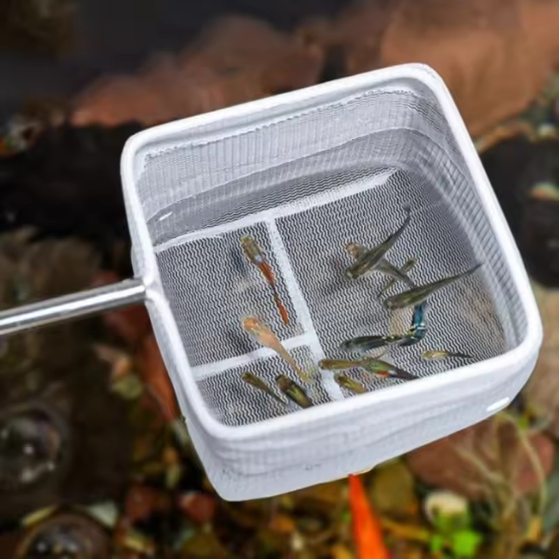 水槽清掃用具 水槽用魚網 小魚・エビ用網 水槽用釣り網 - Aquarium Fish Net Small のレビューと価格