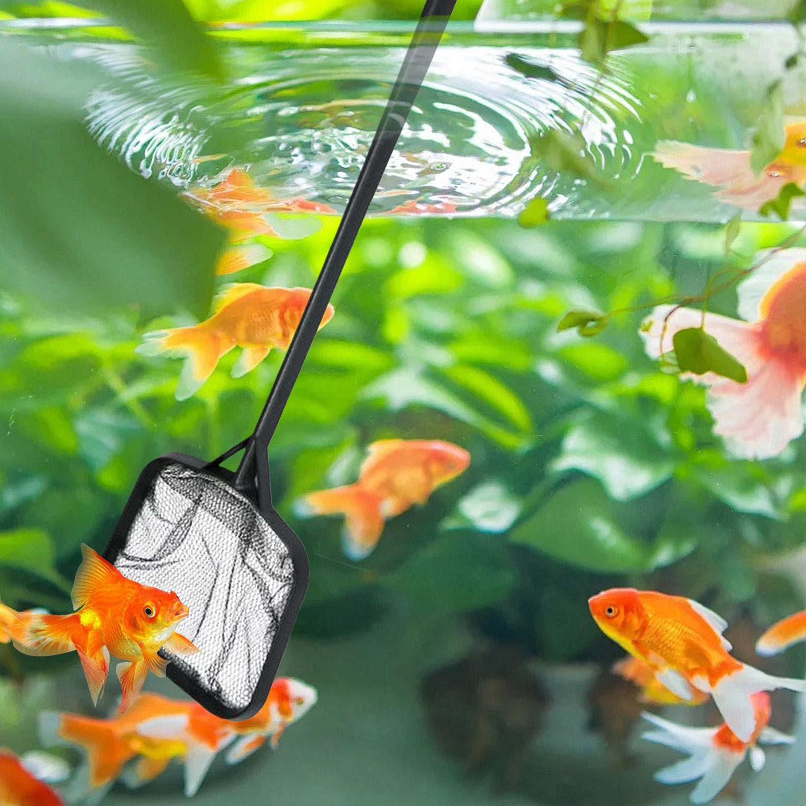 プールネット 清掃用 ポータブルプールストレーナーネット 噴 - Aquarium Fish Tank Cleaner のレビューと価格