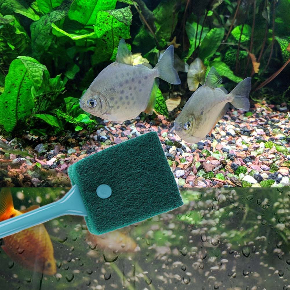 両面使える水槽用スポンジクリーナー、ロングハンドル付き水槽藻 - Aquarium Fish Tank Cleaner のレビューと価格