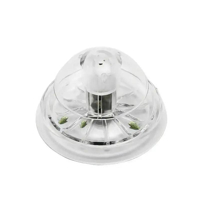 2026年新発売 6/8CM 透明プラスチック製カタツムリ捕 - Aquarium Fish Tank Cleaner のレビューと価格