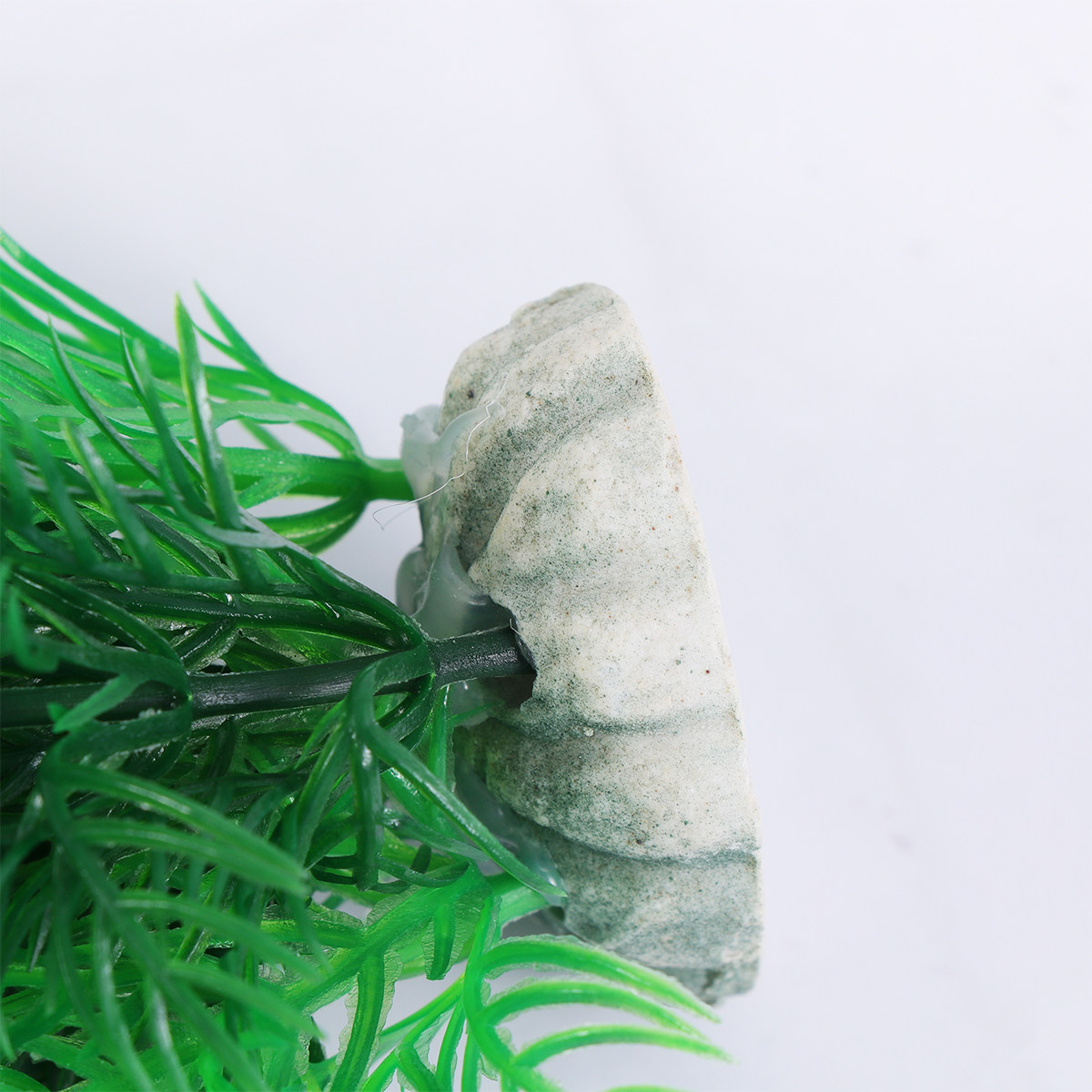 5個入り、リアルな造花水草。水槽の装飾や、岩場の景観作りに最 - Aquarium Fish Low Maintenance のレビューと価格