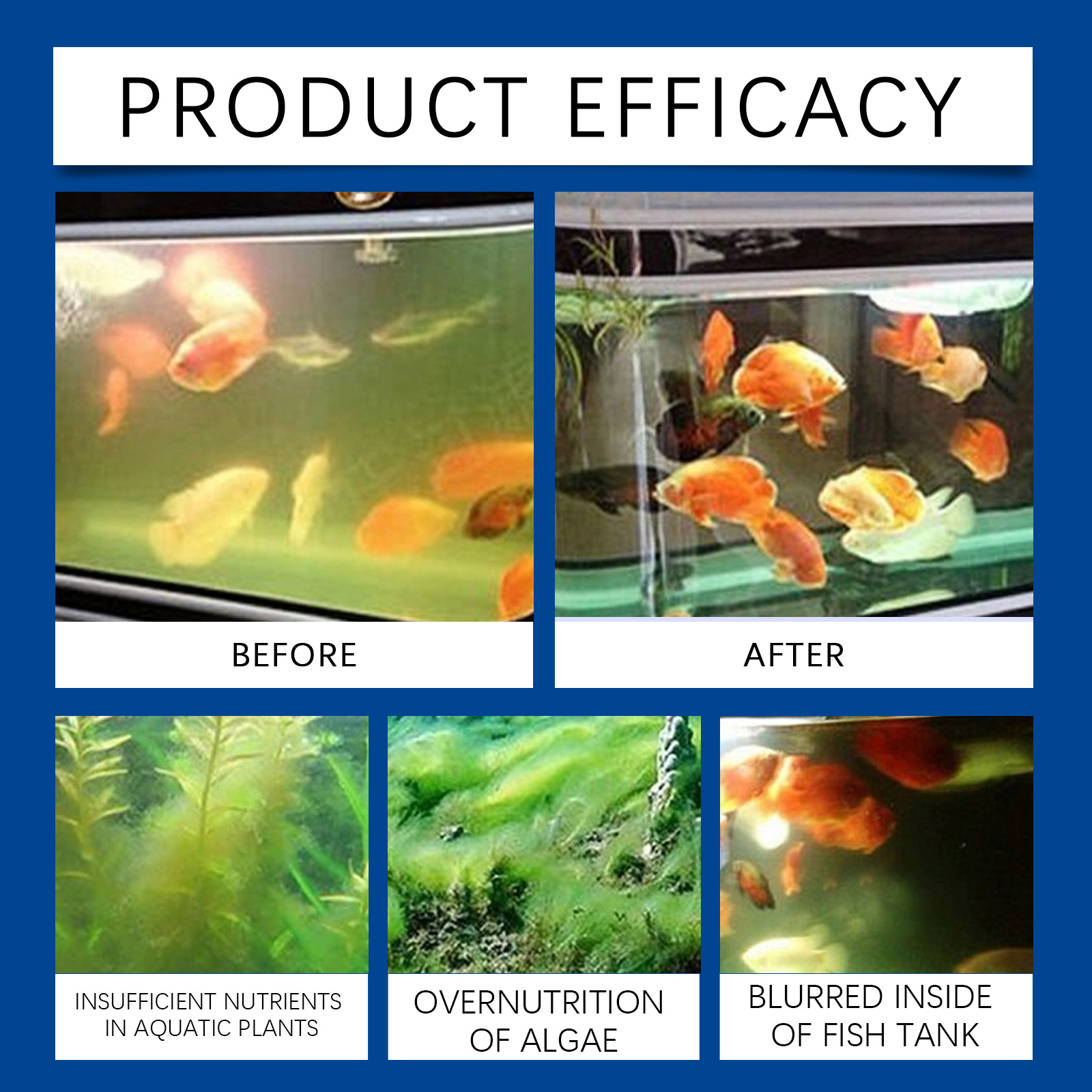 水族館の水精製器 100 ミリリットル淡水海水水槽クリーナー - Aquarium Fish Tank Cleaner のレビューと価格
