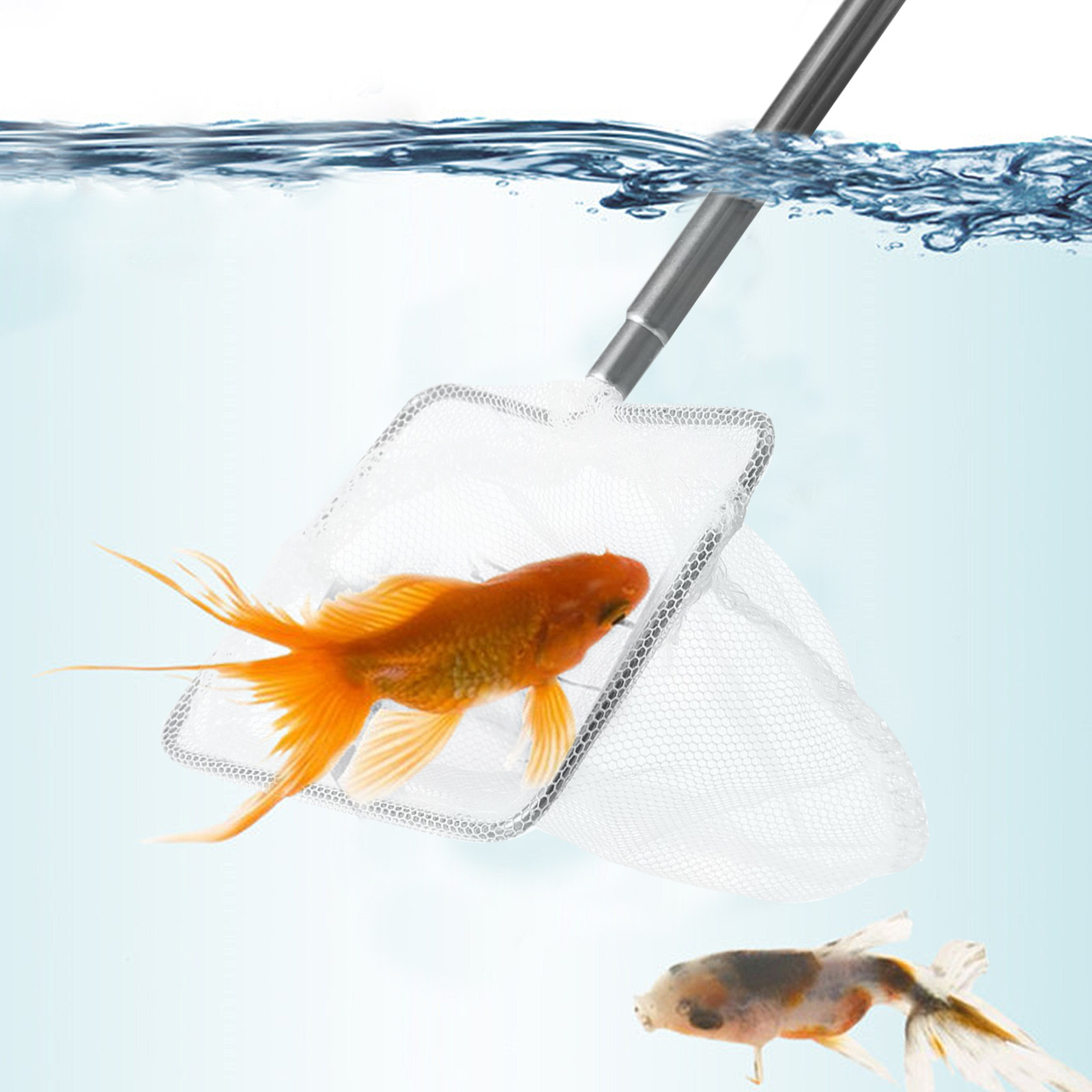 ステンレス製、小型魚用、伸縮ハンドル付き、エビ取り網、水槽、 - Aquarium Fish Net Small のレビューと価格