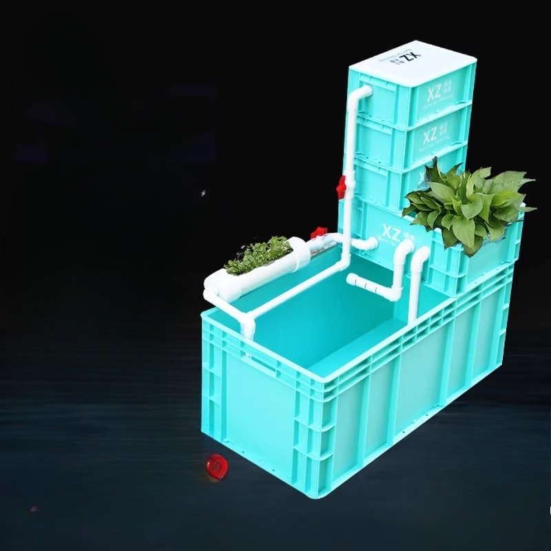 フィルター内蔵のカメ水槽、低メンテナンスで環境に優しい水生カ - Aquarium Fish Low Maintenance のレビューと価格