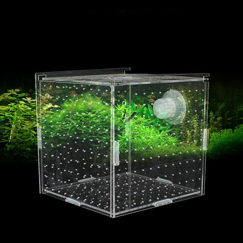 アクリル隔離ボックス水槽透明水族館小型稚魚インキュベーター飼 - Aquarium Fish Net Small のレビューと価格