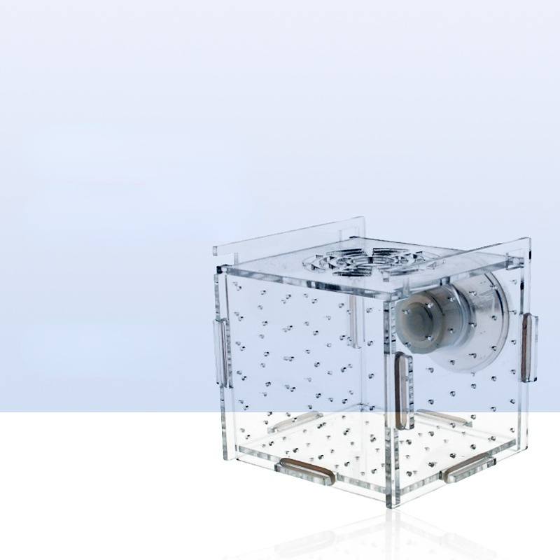 アクリル隔離ボックス水槽透明水族館小型稚魚インキュベーター飼 - Aquarium Fish Net Small のレビューと価格