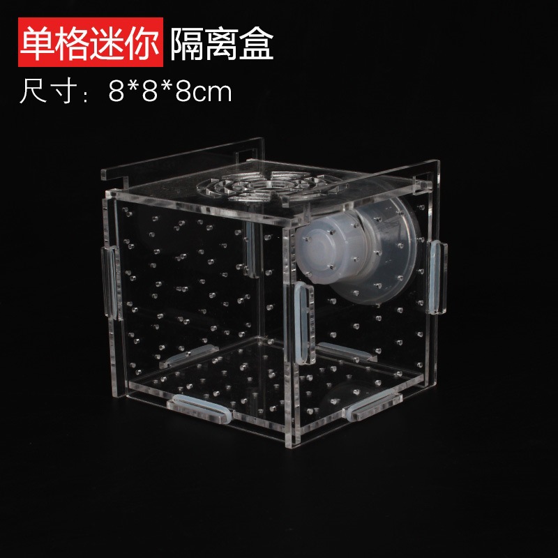 アクリル隔離ボックス水槽透明水族館小型稚魚インキュベーター飼 - Aquarium Fish Net Small のレビューと価格