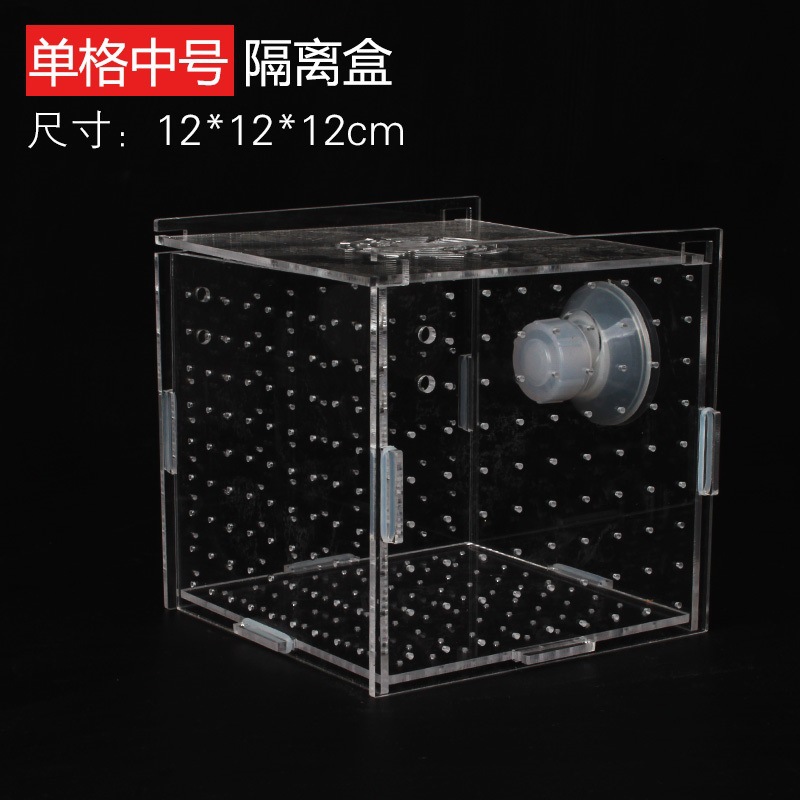アクリル隔離ボックス水槽透明水族館小型稚魚インキュベーター飼 - Aquarium Fish Net Small のレビューと価格