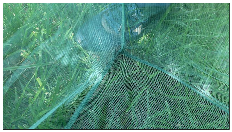 水族館用の小さな杭メッシュ、釣り道具、キャッチフィッシュボッ - Aquarium Fish Net Small のレビューと価格
