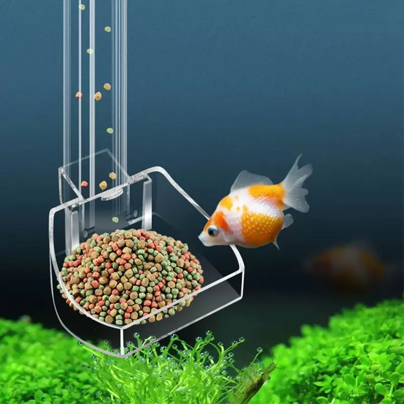 水族館用の透明なアクリルフィーダー,滑り止めチューブ,さまざ - Aquarium Fish Variety のレビューと価格