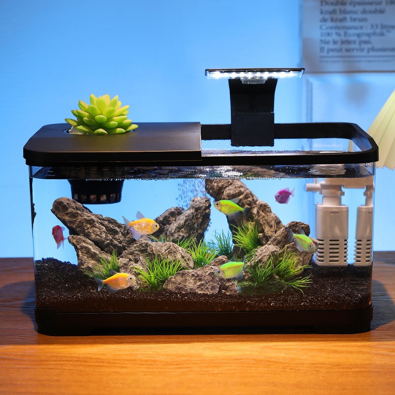 卓上水槽循環フィルター付きアクアリウム、静音エコ水槽、家庭装 - Fish Tank Filter のレビューと価格