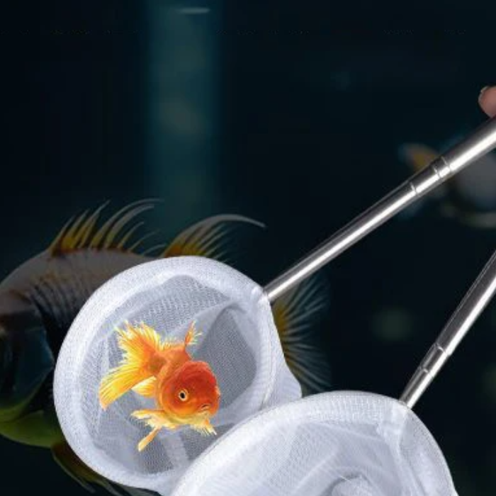 水族館の魚釣りネットステンレス鋼格納式小さなエビ漁網魚のアク - Aquarium Fish Net Small のレビューと価格