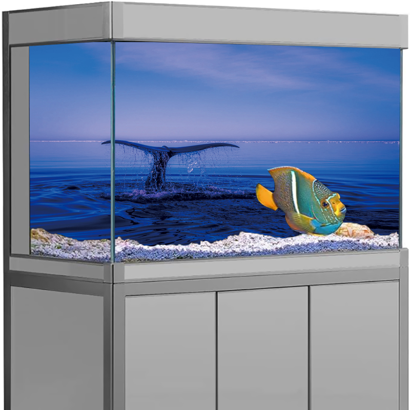 水族館の背景ステッカーイルカシロナガスクジラタコポスター水槽 - Aquarium Fish Dolphin のレビューと価格