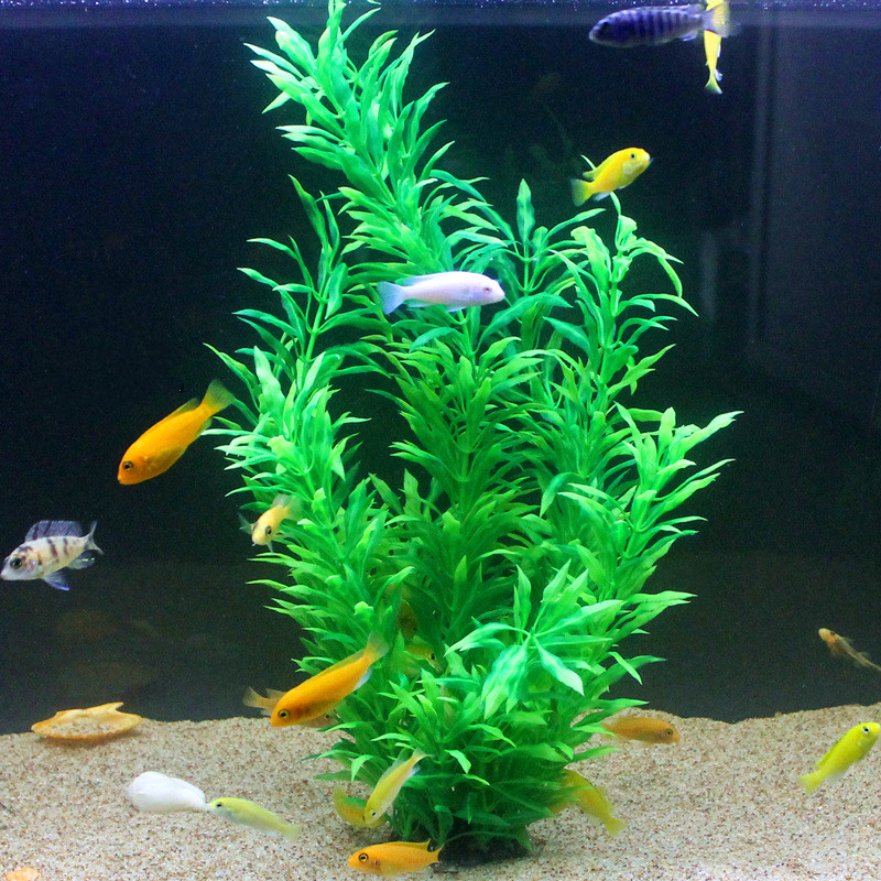 人工水槽50cm,珍しい植物,水族館,偽の竹の葉,水草,プラ - Aquarium Fish Green のレビューと価格