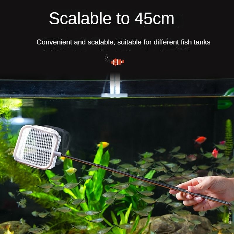 ステンレス鋼の釣りネット,水族館用,小動物用,3D魚タンクク - Aquarium Fish Net Small のレビューと価格