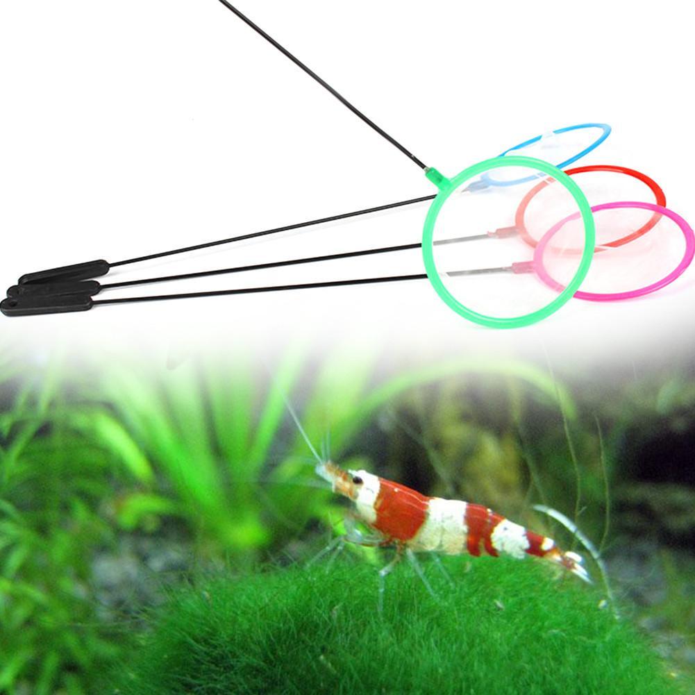 1/5/10個入り カラフルな水槽用魚網 金魚やその他の小さ - Aquarium Fish Net Small のレビューと価格